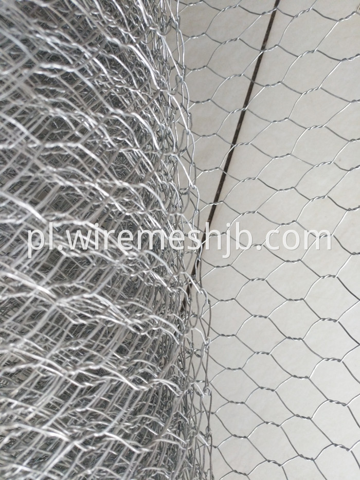 Hexagonal Mesh Fence